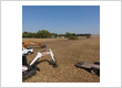 Excavation Contractor