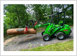 Tree Service, Tree Removal Services
