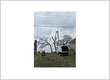 Tree Service Northern Virginia