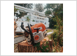 Wake Tree Services