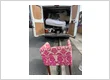 WhatsApp Image 2026 05 20 at 8.37.52 PM (5)