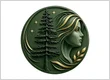 spruce plastic surgery favicon 69f0dcc2d9c31