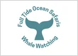 Full-Tide Ocean Safaris