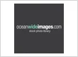 Oceanwide Images