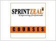 Sprintzeal