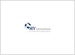 MV International Industrial Oven