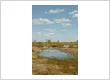 farm pond Df tOp5J