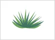 Safford Landscaping