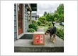 Delivery Box in Front of Home