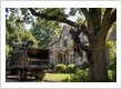Tree Care Services in Charlotte