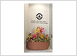 Stylish Fiber & FRP Planters Online | Transform Your Space – Vassio
