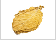 Buy Tobacco Leaf Online – Premium Raw Tobacco Le...