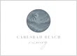 Carlsbad Beach Recovery