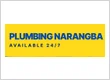 Plumbing Narangba