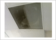 Air Duct Cleaning of Sherman Oaks