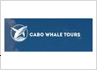 Cabo Whale Tours