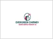 Evergreen Chimney Works Service Fremont CA