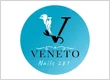 Veneto Nails 281 San Antonio