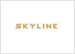 Skyline Tech Support
