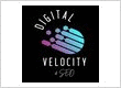 Digital Velocity and SEO