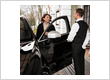 Luxury Car Service