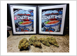 Blue Zushi Cali Packs by The Ten.Co California - Phuket Cannabis