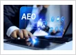 AI SEO Agency, Answer Engine Optimization Services, Answer Engine Optimization Agency, AI Search Opt