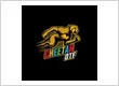 Cheetah DTF