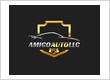 Amigo Auto LLC