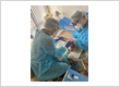 Implant-Supported Dentures patient at Orlando dentist Lake Lucerne Cosmetic and Implant Dentistry