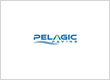 Pelagic Paving LLC