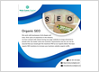 Organic SEO