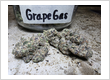 Grape Gas Weed Strain at Phuket Cannabis Dispensary