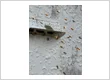 IMG 7734