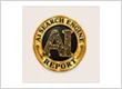 AI Search Engine Report