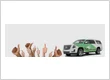 Used Car Dealer