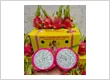 Viet Nam fresh dragon fruits for India market
