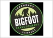 Bigfoot Academy