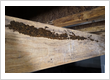 Bowling Green Crawl Space Pros