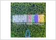 Miami Neons | Custom Neon Signs