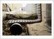 Basement Waterproofing