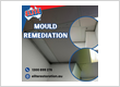 Flyer for Mould Remediation