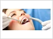 What Actually Decides Whether a Dental Implant Takes