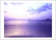 Prairie Sky Photography — gallery photo 4