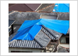 Water Damage Repair Experts Of Florida, LLC