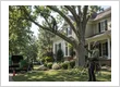 Residential Tree Services