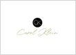 Carol Klein - Century 21 Northeast