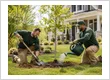 Tree Planting