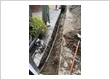 IMG 0983