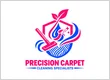 Precision Carpet Cleaning Specialists